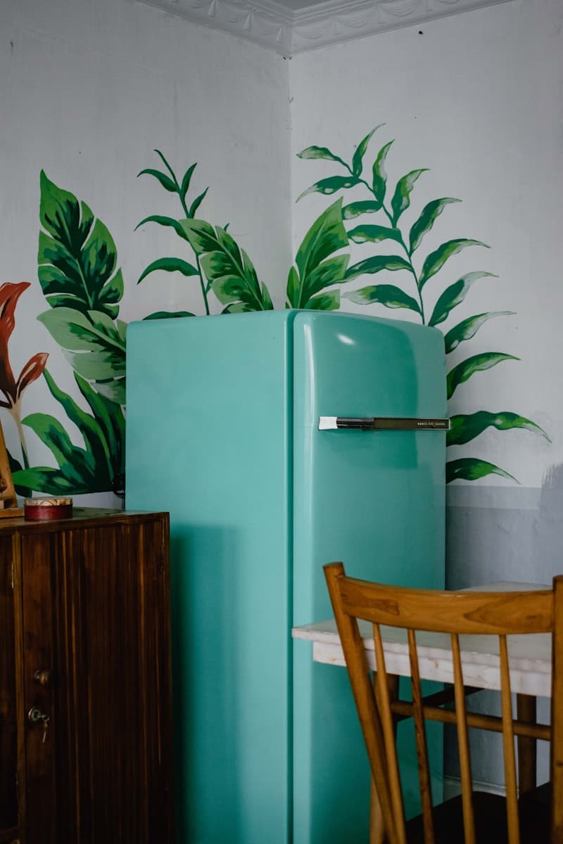 Brancho Refrigerator Care service by Brancho
